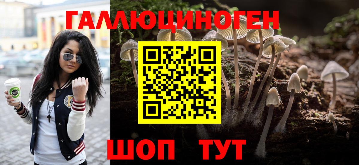 Псилоцибиновые грибы мицелий Рыбинск
